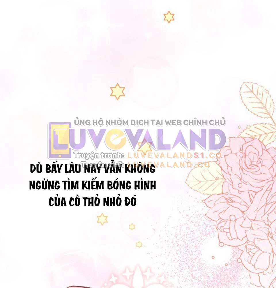 Mối Liên Kết Giữa Báo Đen Và Bé Thỏ Chapter 128 - Trang 2