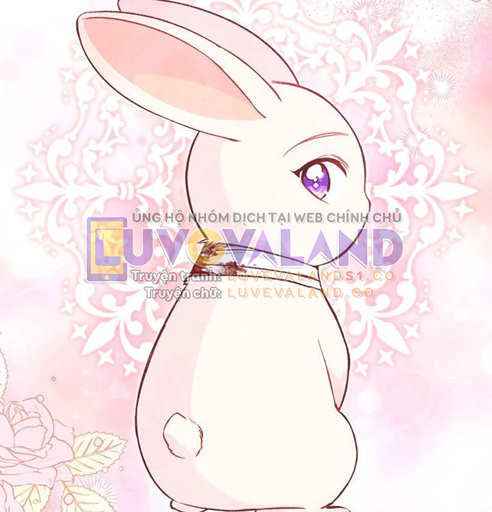 Mối Liên Kết Giữa Báo Đen Và Bé Thỏ Chapter 128 - Trang 2