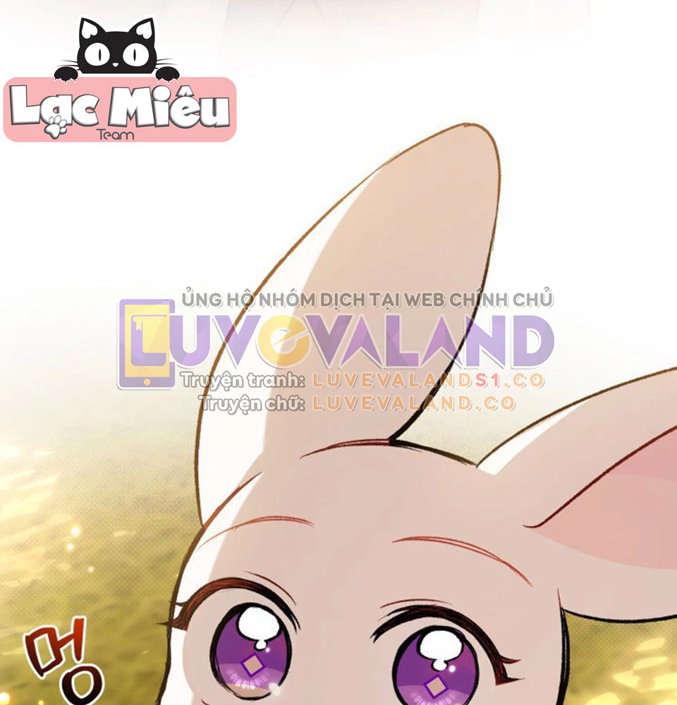 Mối Liên Kết Giữa Báo Đen Và Bé Thỏ Chapter 128 - Trang 2