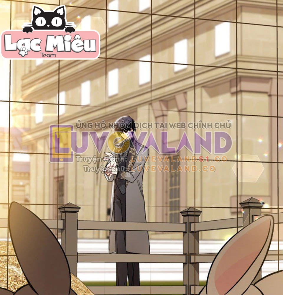 Mối Liên Kết Giữa Báo Đen Và Bé Thỏ Chapter 128 - Trang 2