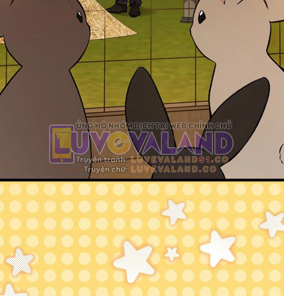 Mối Liên Kết Giữa Báo Đen Và Bé Thỏ Chapter 128 - Trang 2