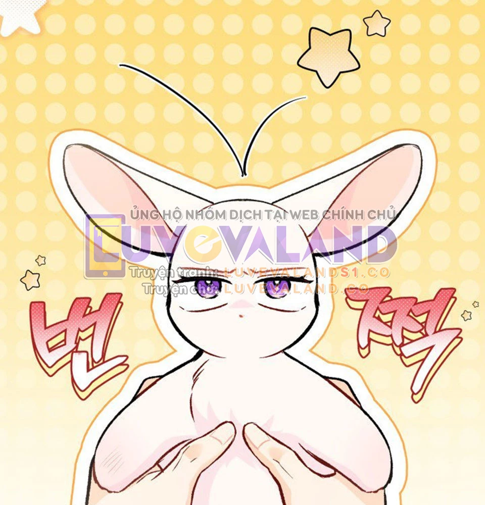 Mối Liên Kết Giữa Báo Đen Và Bé Thỏ Chapter 128 - Trang 2
