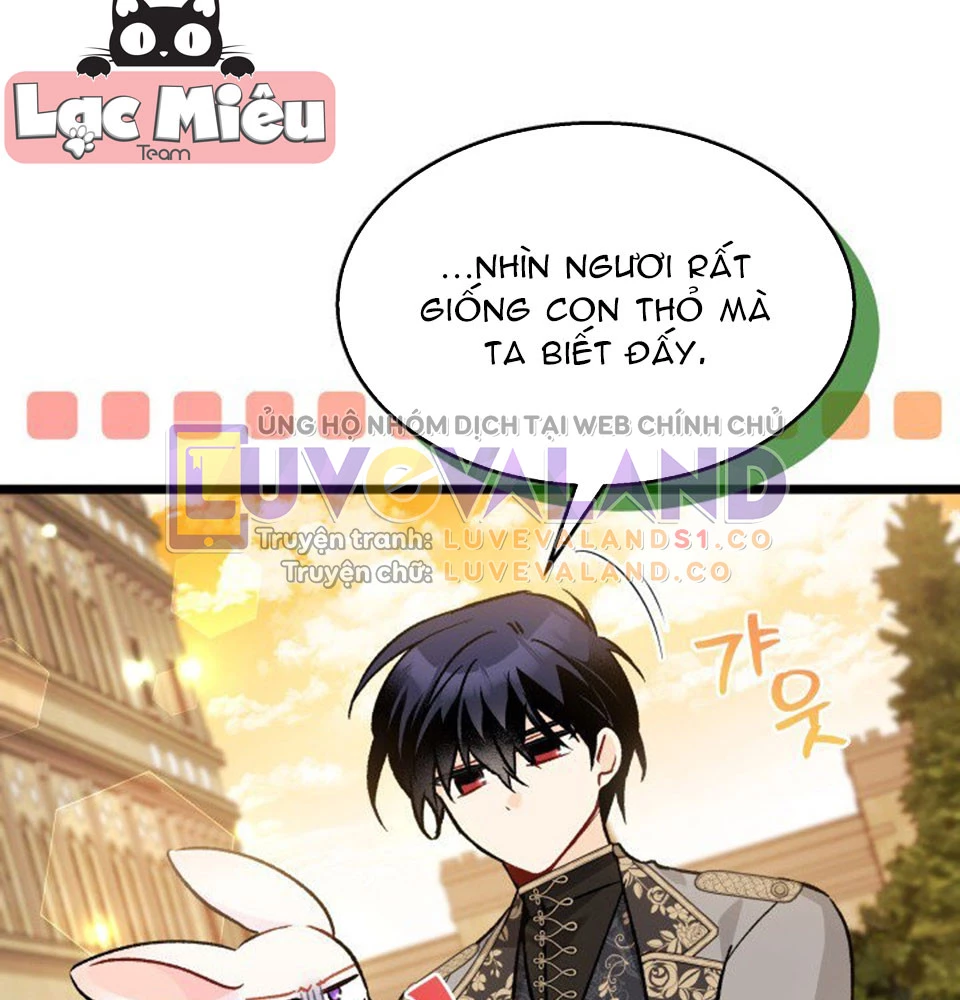 Mối Liên Kết Giữa Báo Đen Và Bé Thỏ Chapter 128 - Trang 2