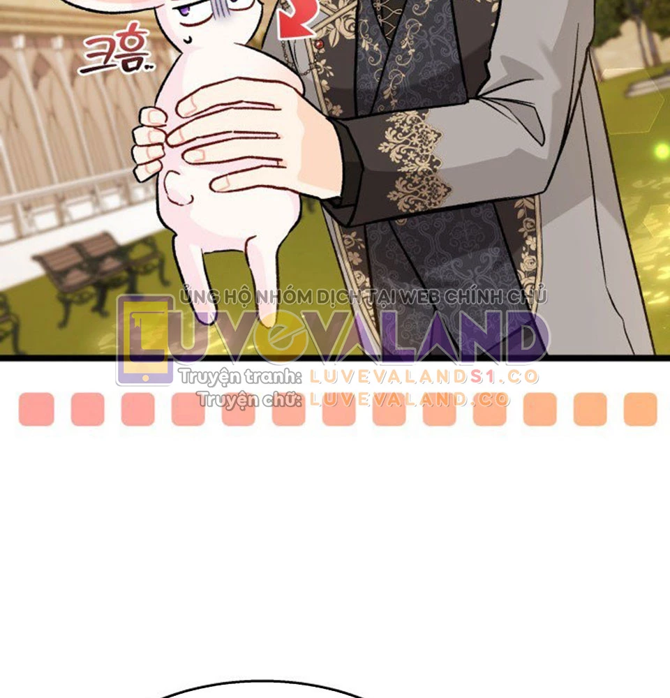 Mối Liên Kết Giữa Báo Đen Và Bé Thỏ Chapter 128 - Trang 2