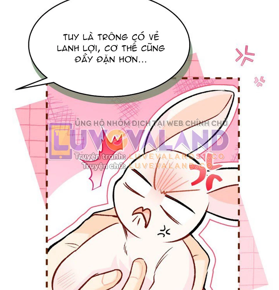 Mối Liên Kết Giữa Báo Đen Và Bé Thỏ Chapter 128 - Trang 2