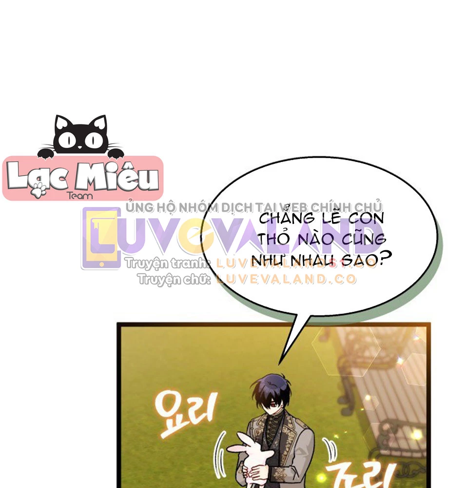 Mối Liên Kết Giữa Báo Đen Và Bé Thỏ Chapter 128 - Trang 2
