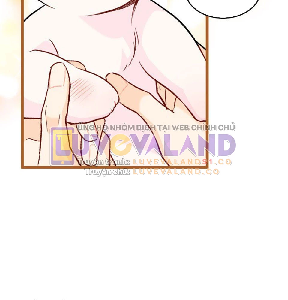 Mối Liên Kết Giữa Báo Đen Và Bé Thỏ Chapter 128 - Trang 2