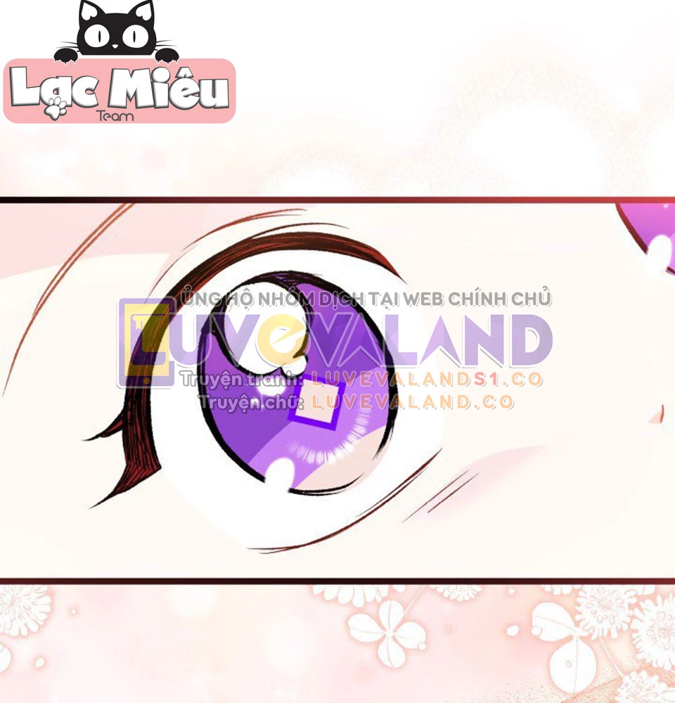 Mối Liên Kết Giữa Báo Đen Và Bé Thỏ Chapter 128 - Trang 2