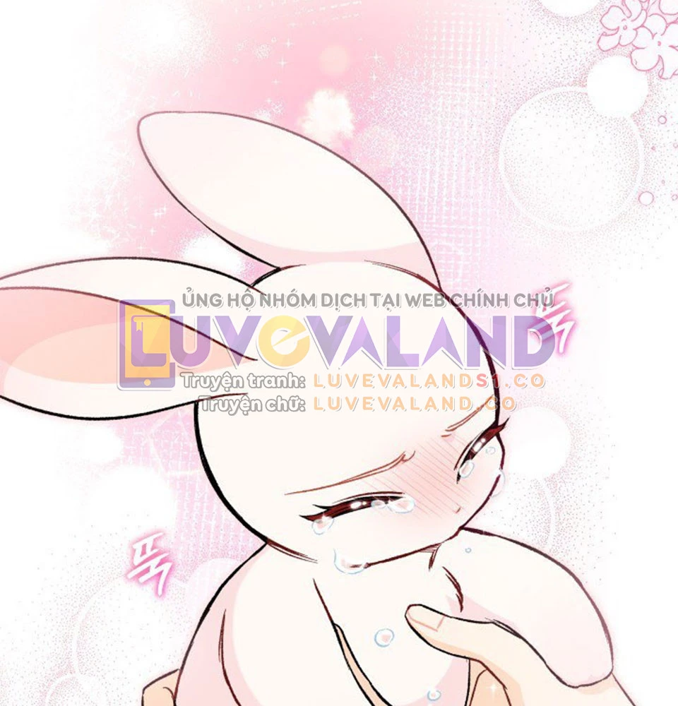 Mối Liên Kết Giữa Báo Đen Và Bé Thỏ Chapter 128 - Trang 2