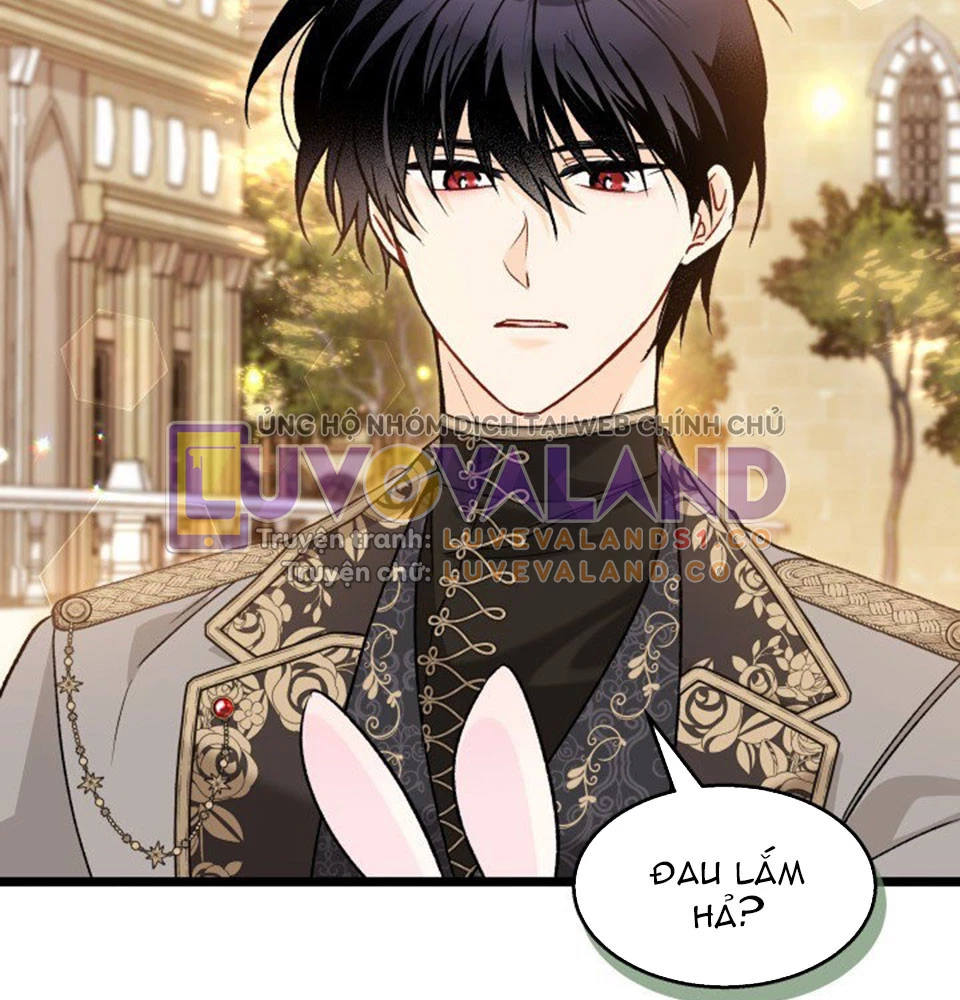 Mối Liên Kết Giữa Báo Đen Và Bé Thỏ Chapter 128 - Trang 2