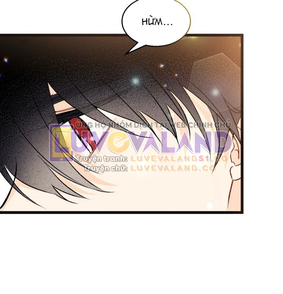 Mối Liên Kết Giữa Báo Đen Và Bé Thỏ Chapter 128 - Trang 2