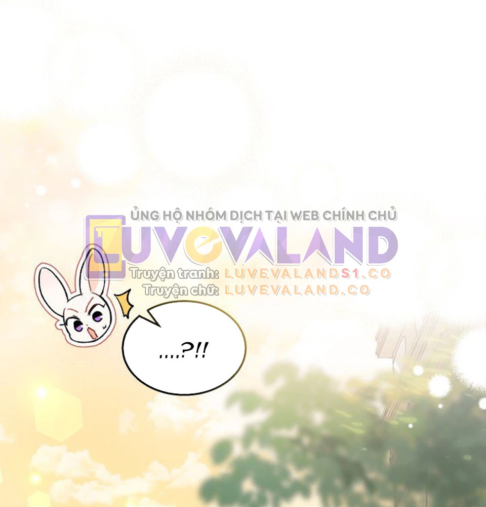 Mối Liên Kết Giữa Báo Đen Và Bé Thỏ Chapter 128 - Trang 2