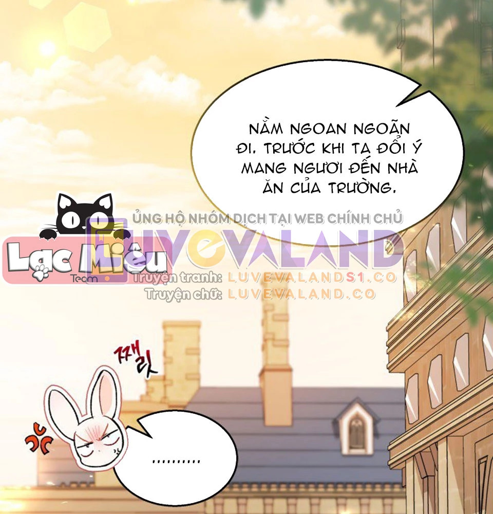 Mối Liên Kết Giữa Báo Đen Và Bé Thỏ Chapter 128 - Trang 2