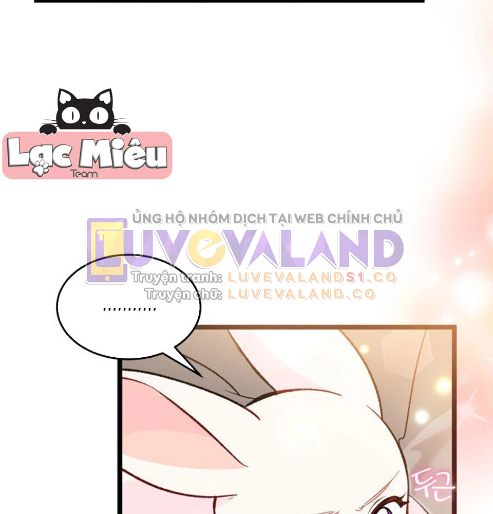 Mối Liên Kết Giữa Báo Đen Và Bé Thỏ Chapter 128 - Trang 2