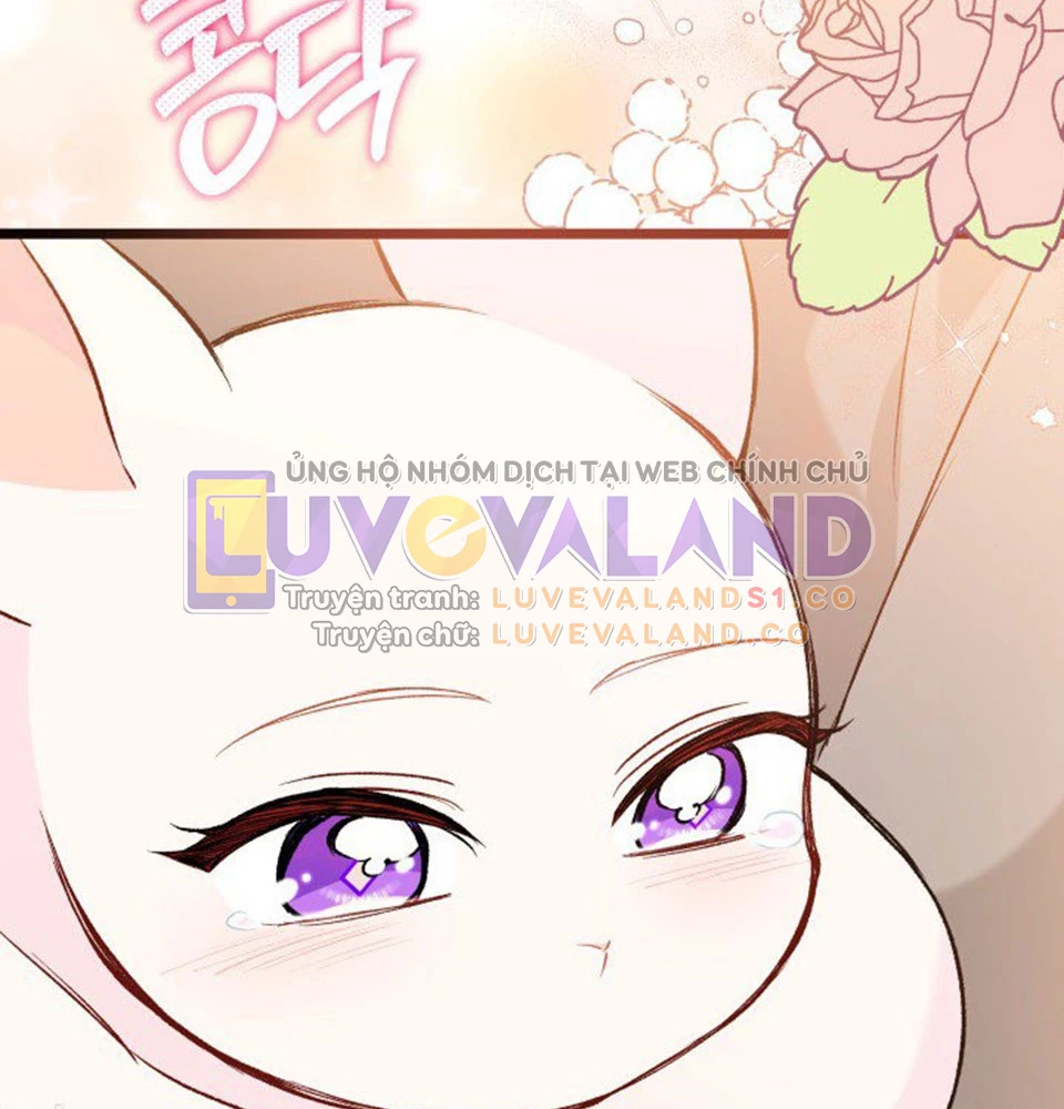 Mối Liên Kết Giữa Báo Đen Và Bé Thỏ Chapter 128 - Trang 2