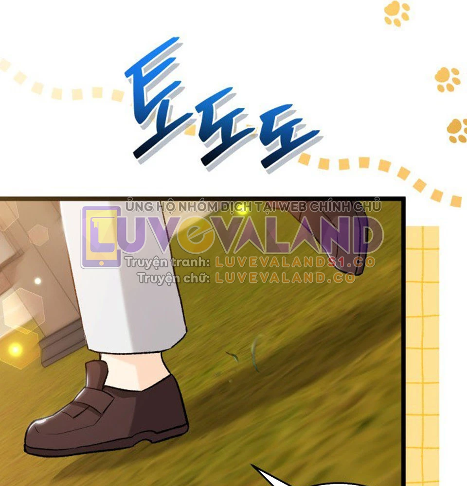 Mối Liên Kết Giữa Báo Đen Và Bé Thỏ Chapter 128 - Trang 2