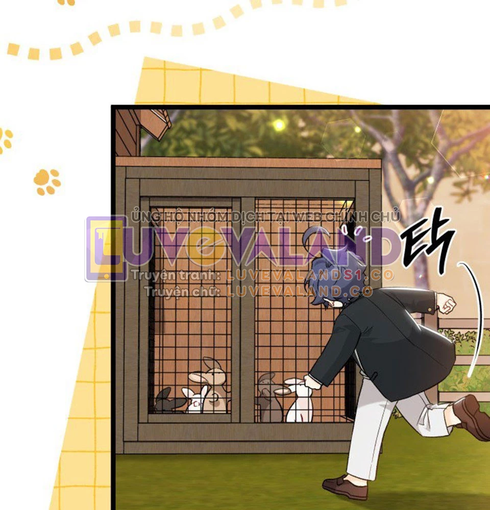 Mối Liên Kết Giữa Báo Đen Và Bé Thỏ Chapter 128 - Trang 2
