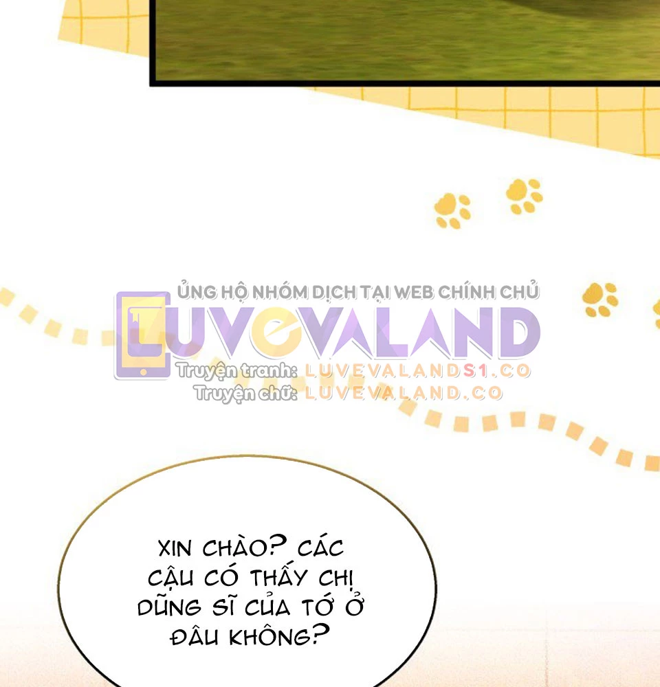 Mối Liên Kết Giữa Báo Đen Và Bé Thỏ Chapter 128 - Trang 2