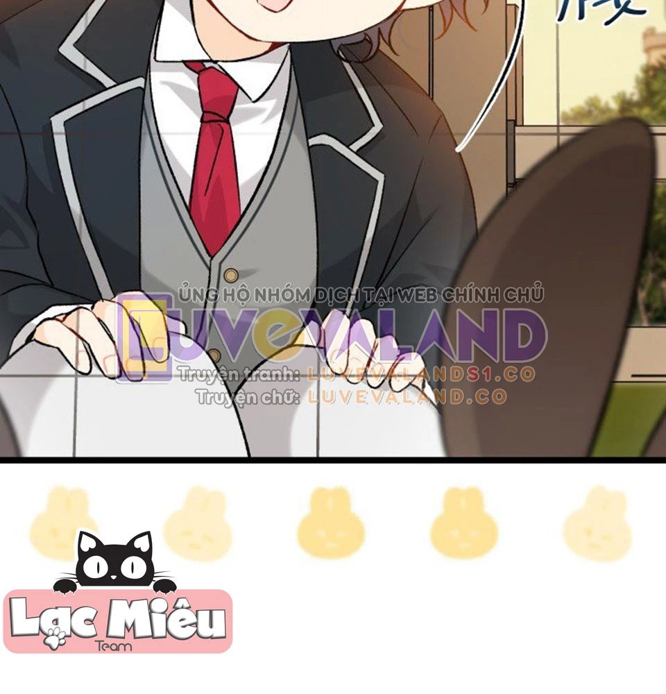 Mối Liên Kết Giữa Báo Đen Và Bé Thỏ Chapter 128 - Trang 2