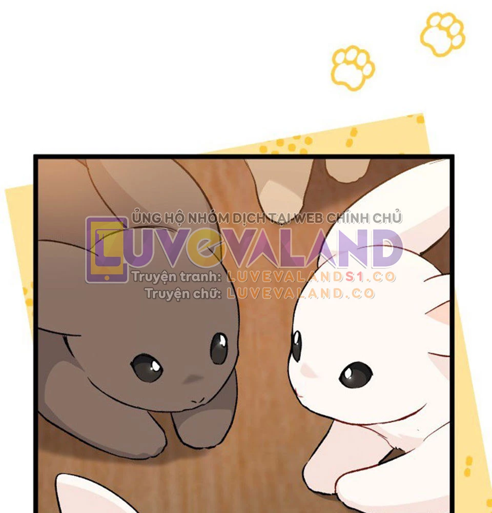 Mối Liên Kết Giữa Báo Đen Và Bé Thỏ Chapter 128 - Trang 2