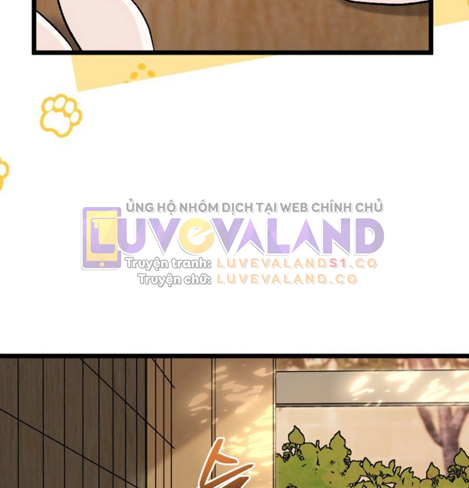 Mối Liên Kết Giữa Báo Đen Và Bé Thỏ Chapter 128 - Trang 2