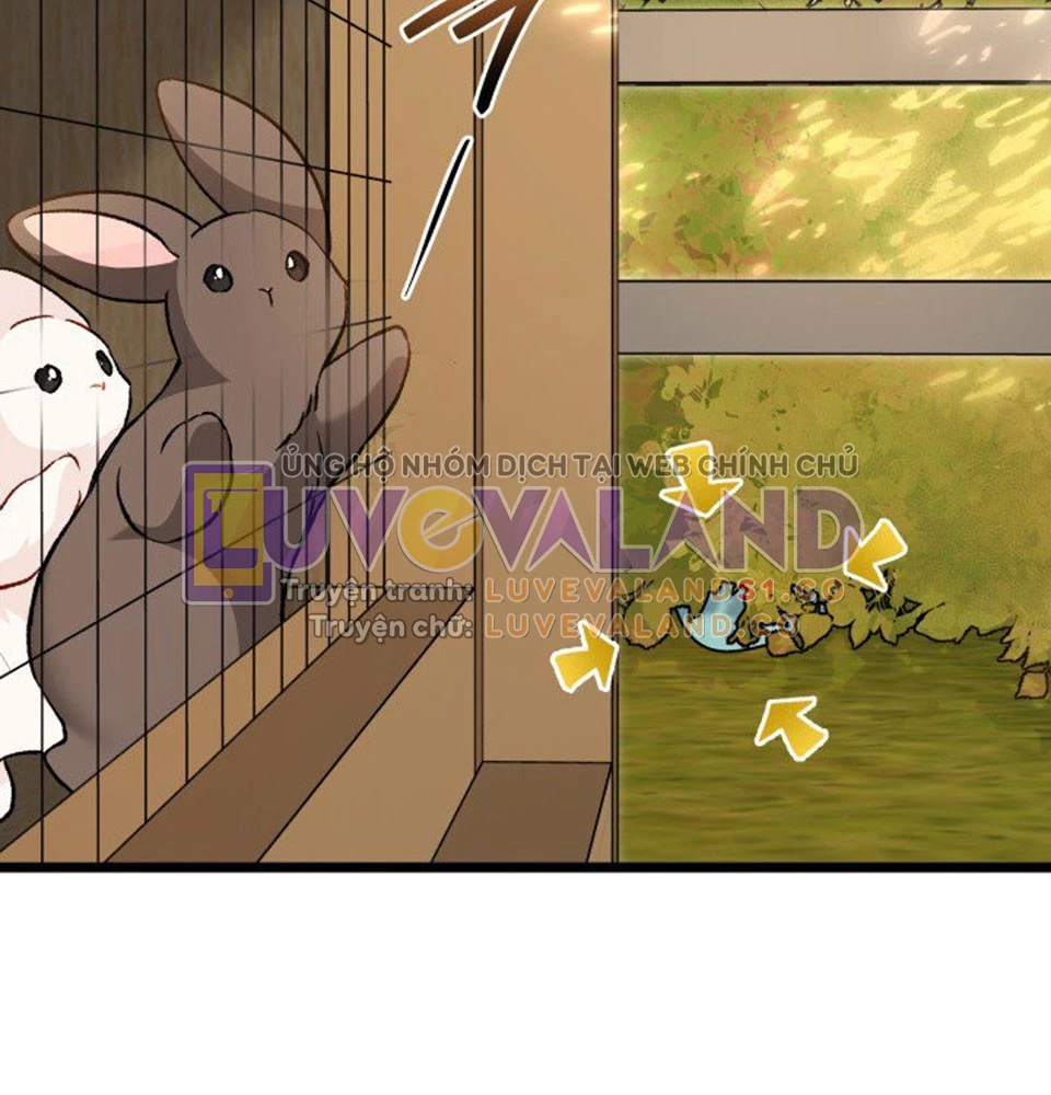 Mối Liên Kết Giữa Báo Đen Và Bé Thỏ Chapter 128 - Trang 2
