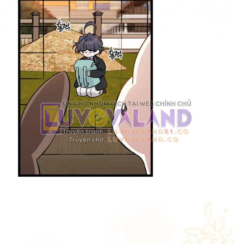 Mối Liên Kết Giữa Báo Đen Và Bé Thỏ Chapter 128 - Trang 2