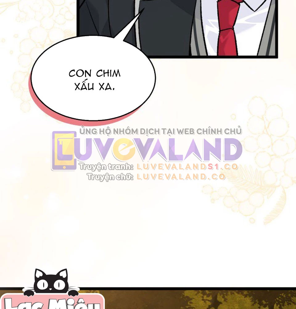 Mối Liên Kết Giữa Báo Đen Và Bé Thỏ Chapter 128 - Trang 2