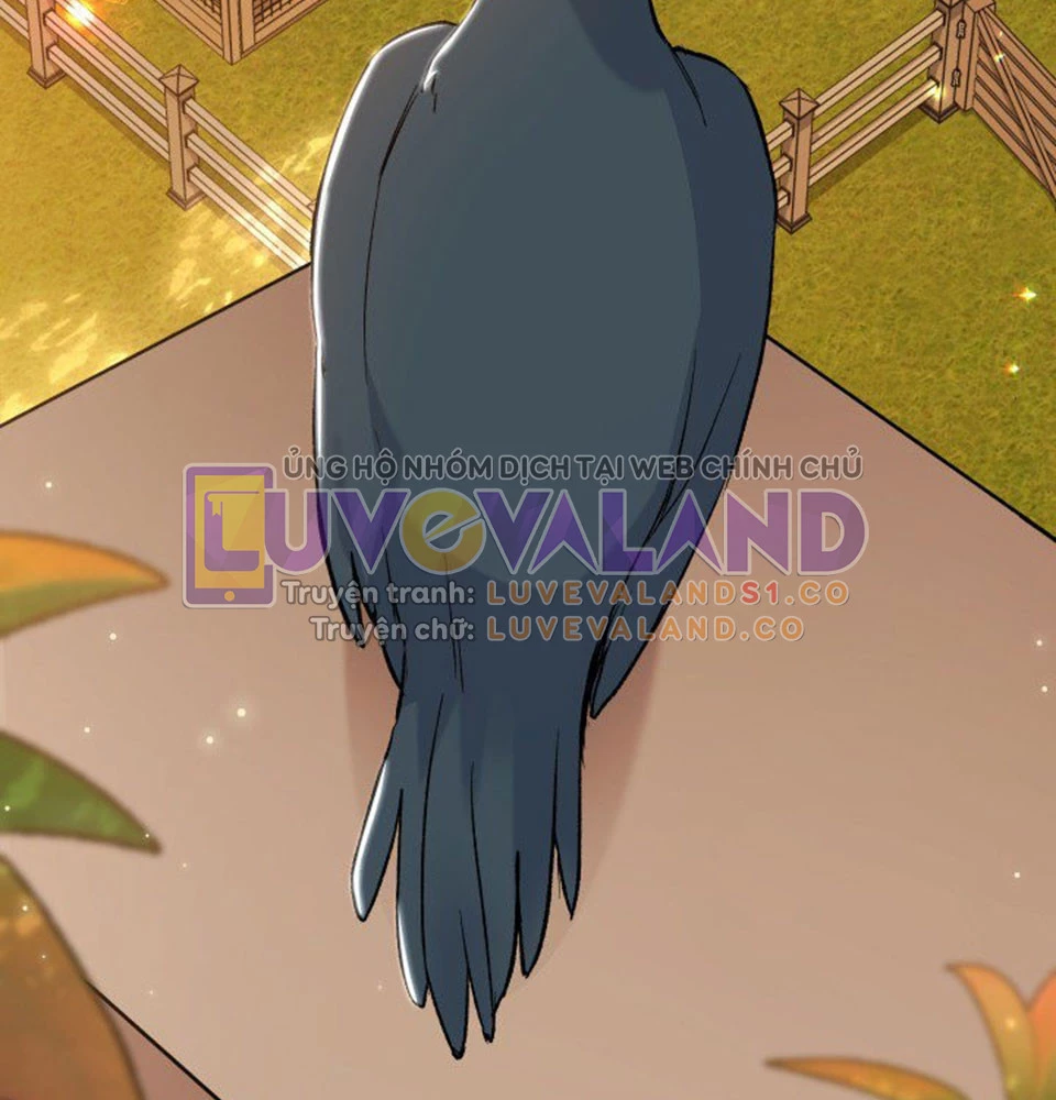 Mối Liên Kết Giữa Báo Đen Và Bé Thỏ Chapter 128 - Trang 2