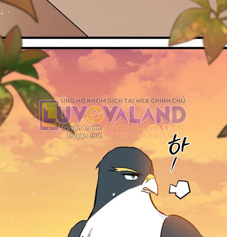 Mối Liên Kết Giữa Báo Đen Và Bé Thỏ Chapter 128 - Trang 2