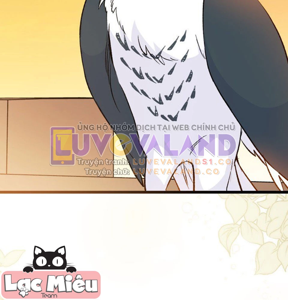 Mối Liên Kết Giữa Báo Đen Và Bé Thỏ Chapter 128 - Trang 2