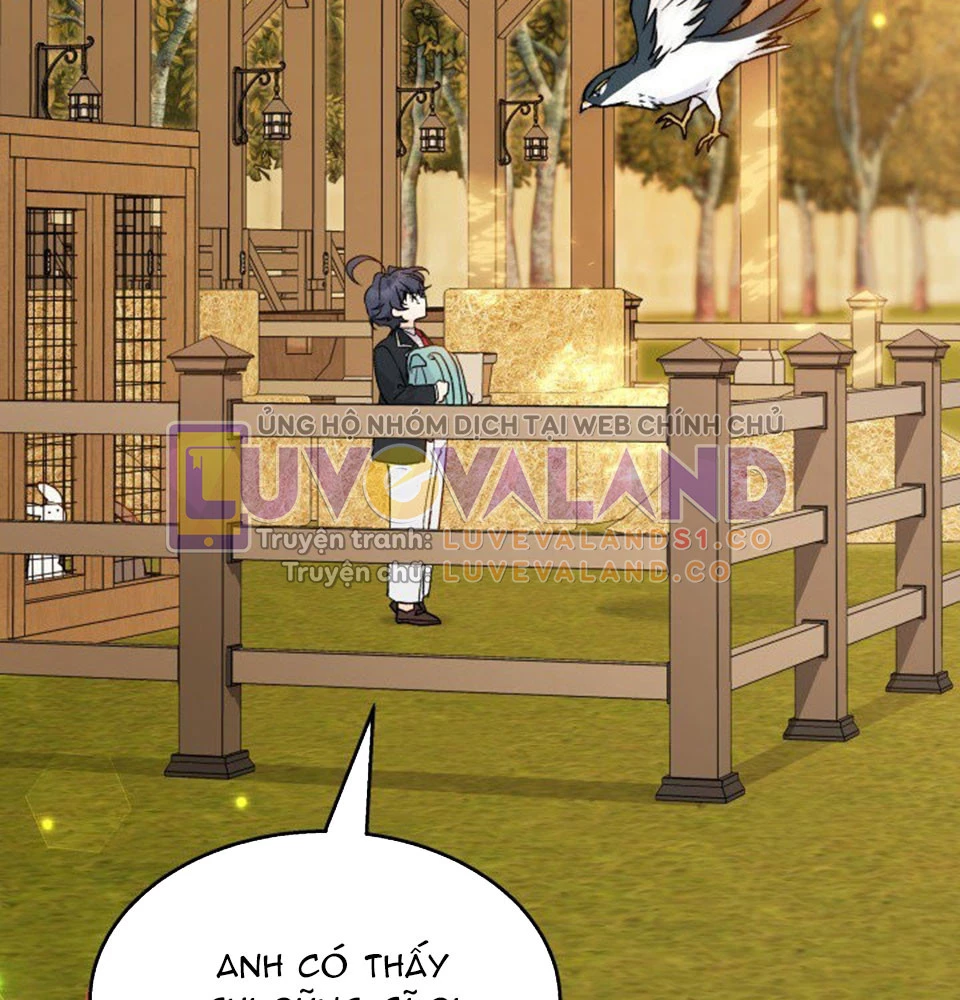 Mối Liên Kết Giữa Báo Đen Và Bé Thỏ Chapter 128 - Trang 2