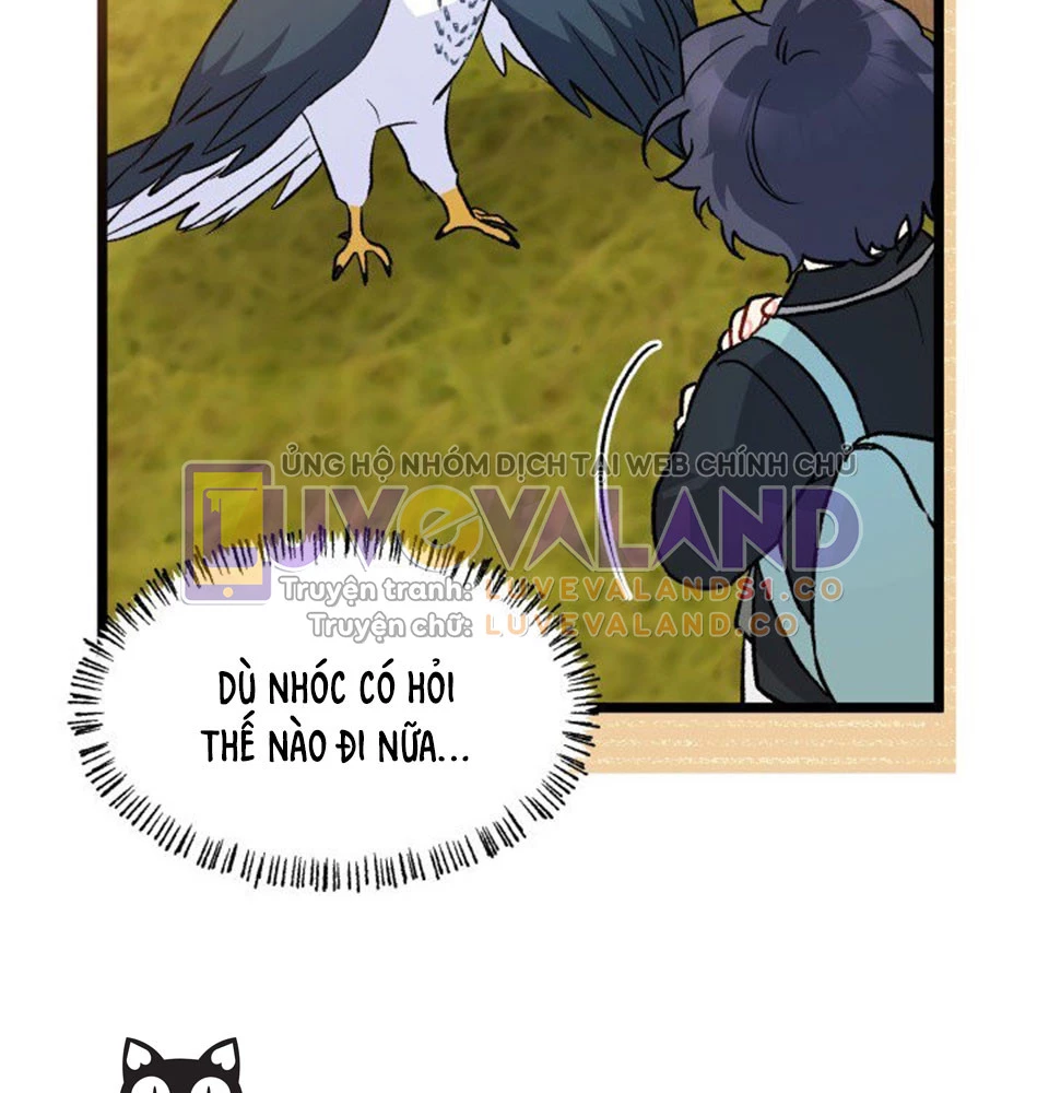 Mối Liên Kết Giữa Báo Đen Và Bé Thỏ Chapter 128 - Trang 2