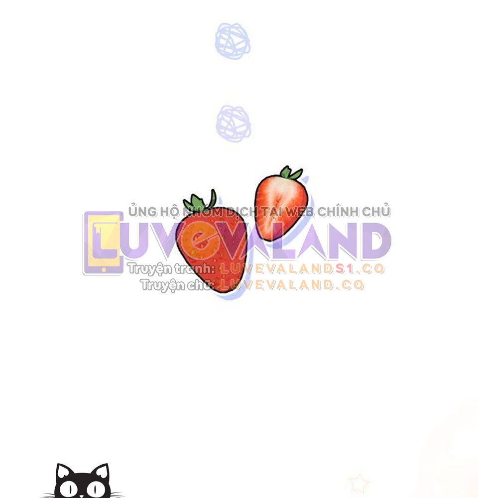 Mối Liên Kết Giữa Báo Đen Và Bé Thỏ Chapter 128 - Trang 2