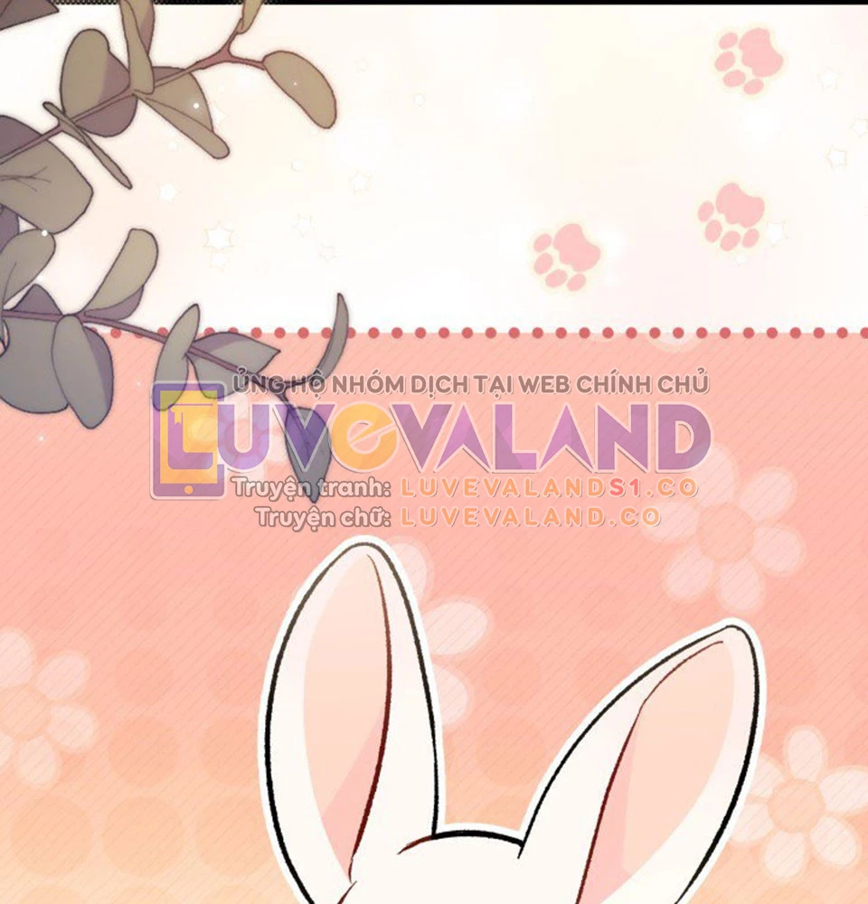 Mối Liên Kết Giữa Báo Đen Và Bé Thỏ Chapter 128 - Trang 2
