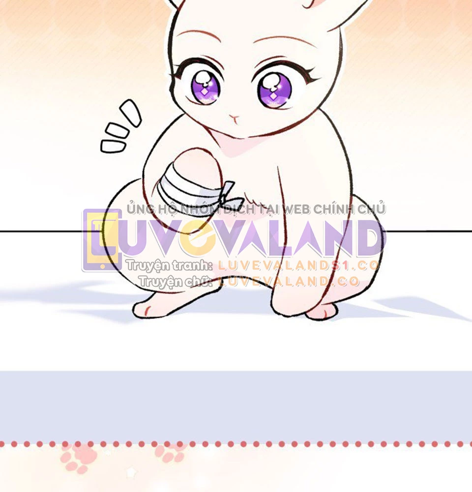 Mối Liên Kết Giữa Báo Đen Và Bé Thỏ Chapter 128 - Trang 2