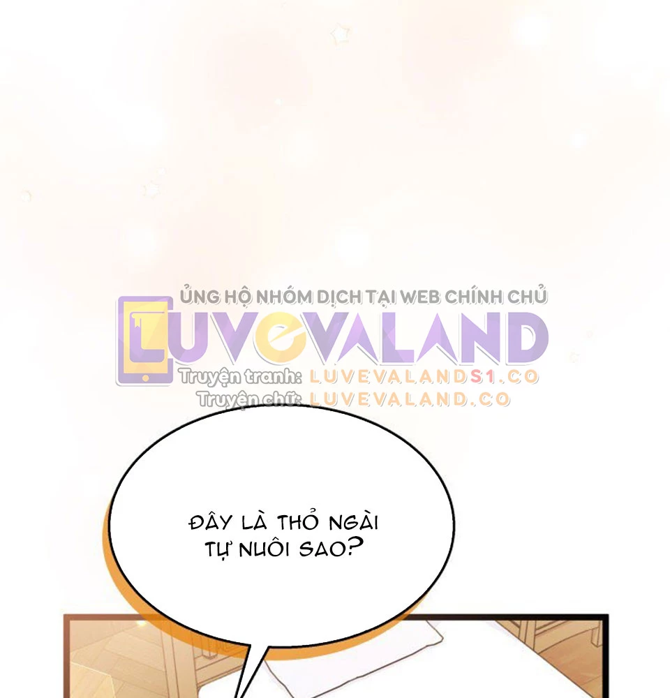 Mối Liên Kết Giữa Báo Đen Và Bé Thỏ Chapter 128 - Trang 2