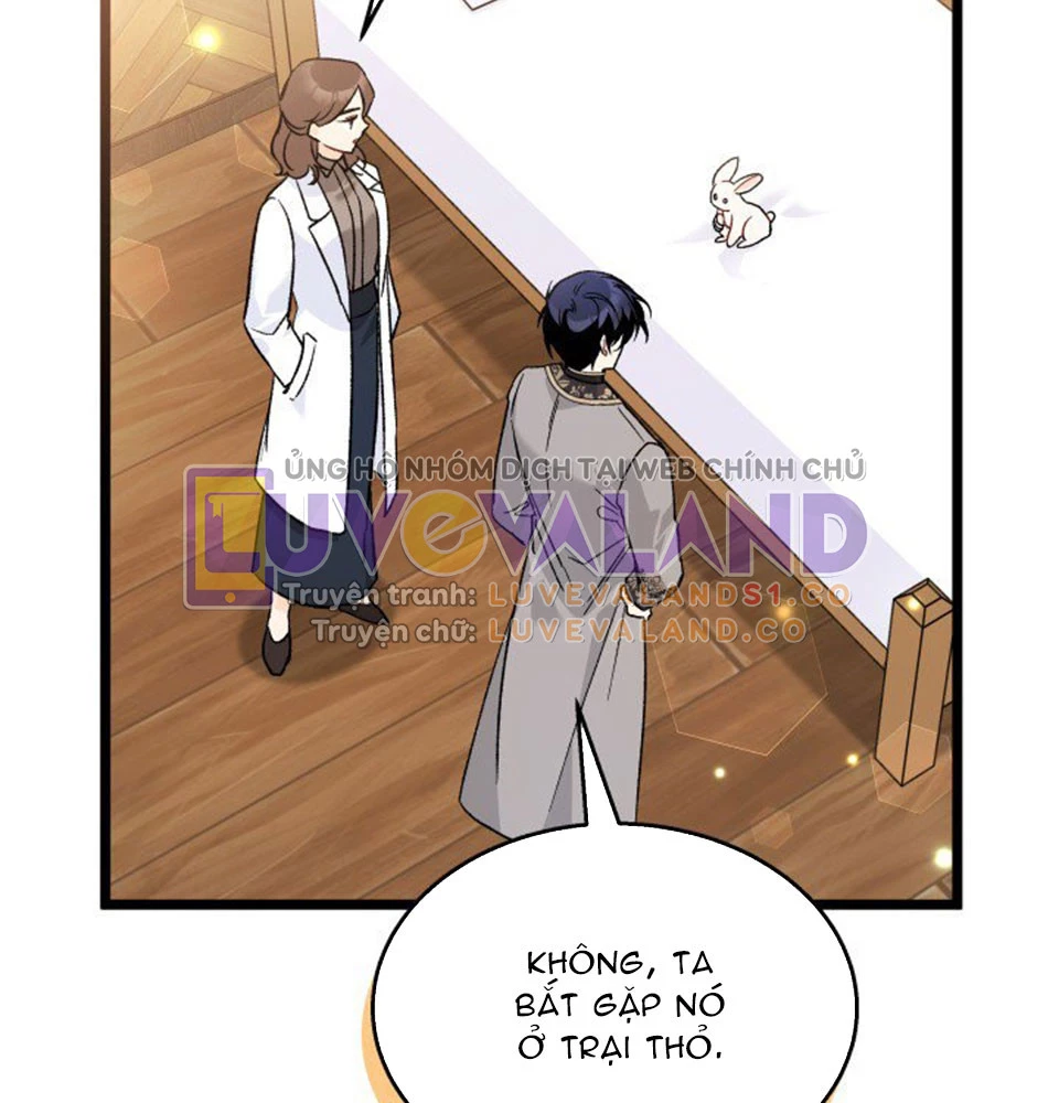 Mối Liên Kết Giữa Báo Đen Và Bé Thỏ Chapter 128 - Trang 2