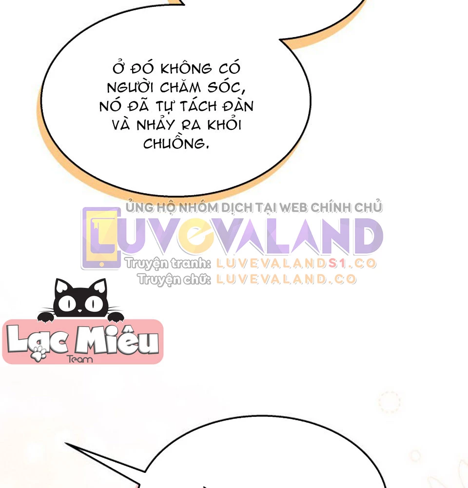 Mối Liên Kết Giữa Báo Đen Và Bé Thỏ Chapter 128 - Trang 2