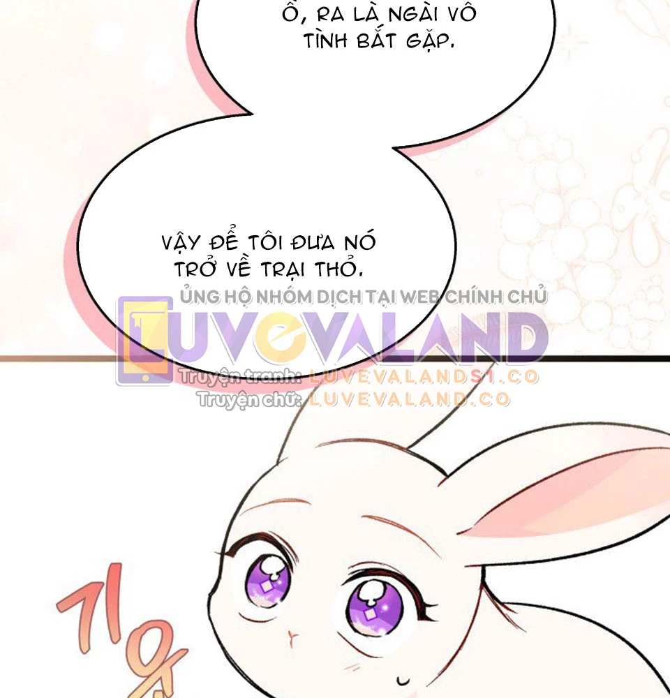 Mối Liên Kết Giữa Báo Đen Và Bé Thỏ Chapter 128 - Trang 2