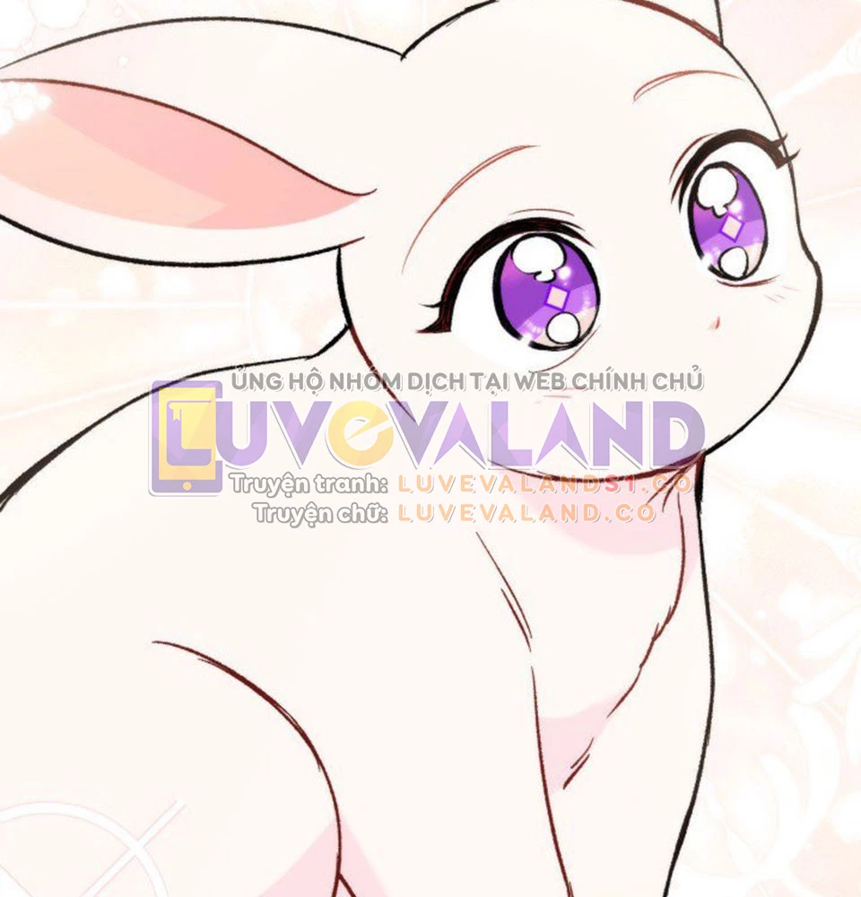 Mối Liên Kết Giữa Báo Đen Và Bé Thỏ Chapter 128 - Trang 2