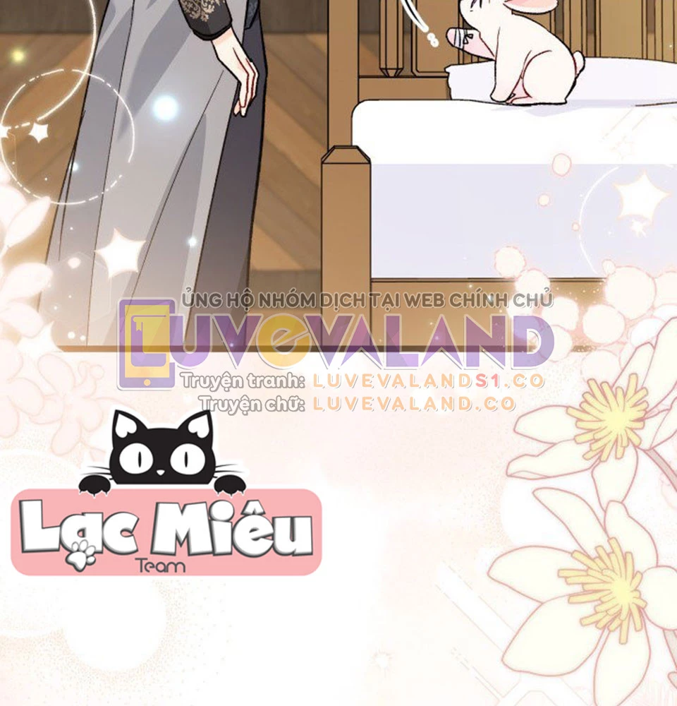 Mối Liên Kết Giữa Báo Đen Và Bé Thỏ Chapter 128 - Trang 2