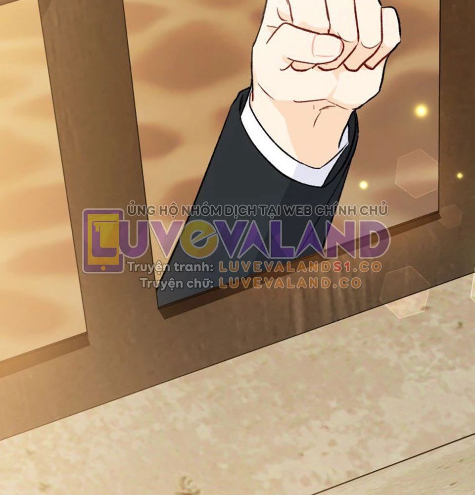 Mối Liên Kết Giữa Báo Đen Và Bé Thỏ Chapter 128 - Trang 2