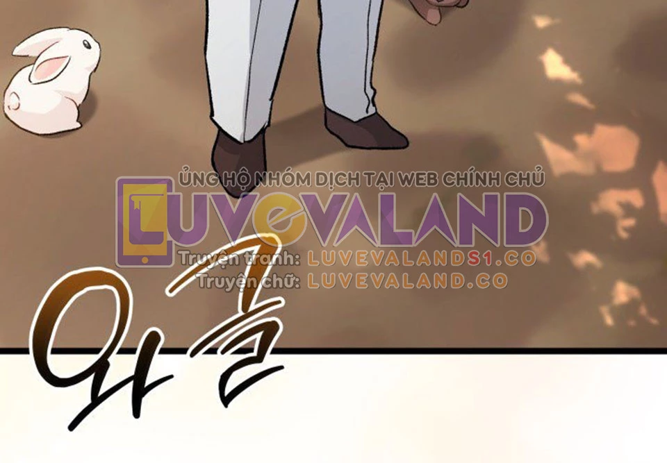 Mối Liên Kết Giữa Báo Đen Và Bé Thỏ Chapter 128 - Trang 2