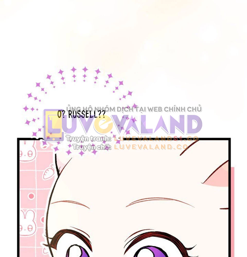 Mối Liên Kết Giữa Báo Đen Và Bé Thỏ Chapter 128 - Trang 2