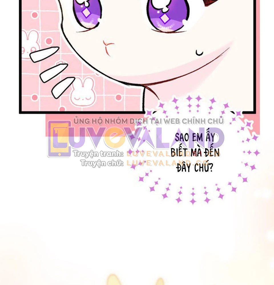 Mối Liên Kết Giữa Báo Đen Và Bé Thỏ Chapter 128 - Trang 2