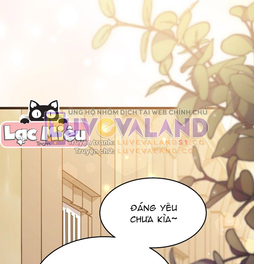 Mối Liên Kết Giữa Báo Đen Và Bé Thỏ Chapter 128 - Trang 2