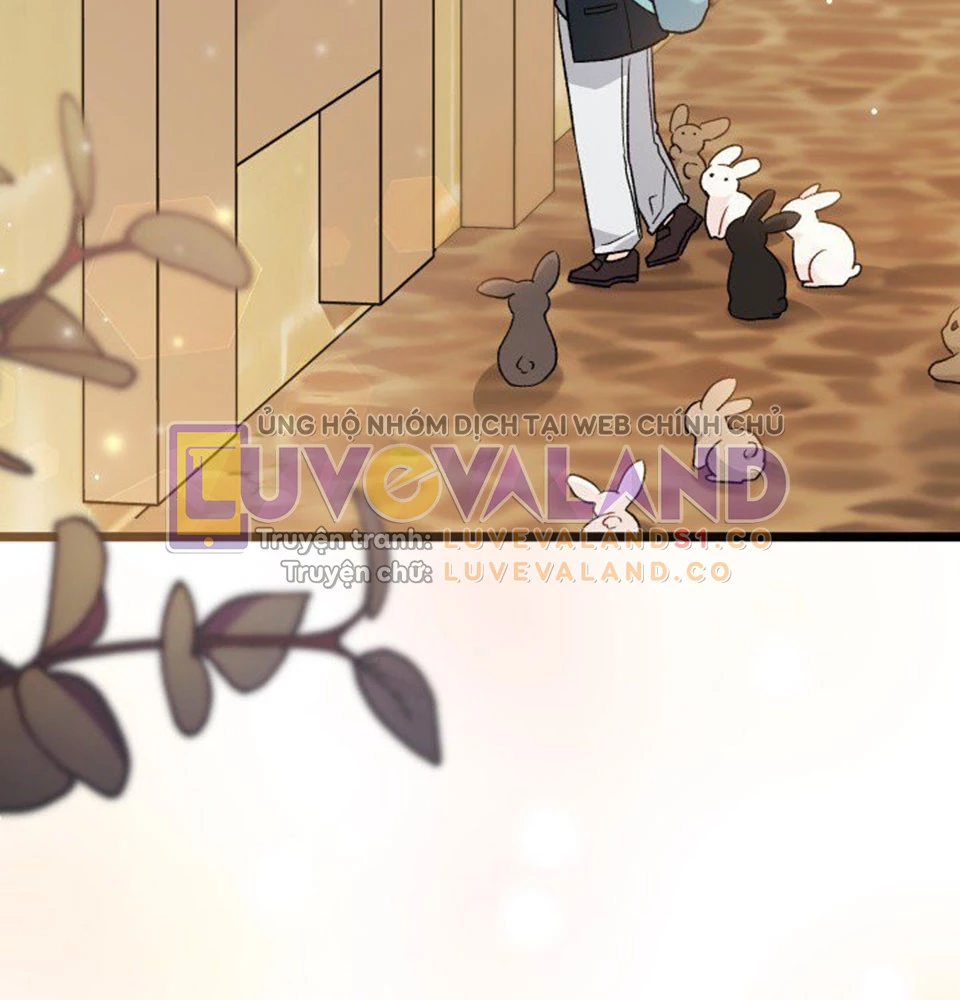 Mối Liên Kết Giữa Báo Đen Và Bé Thỏ Chapter 128 - Trang 2