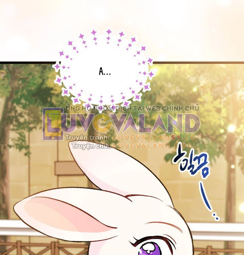 Mối Liên Kết Giữa Báo Đen Và Bé Thỏ Chapter 128 - Trang 2