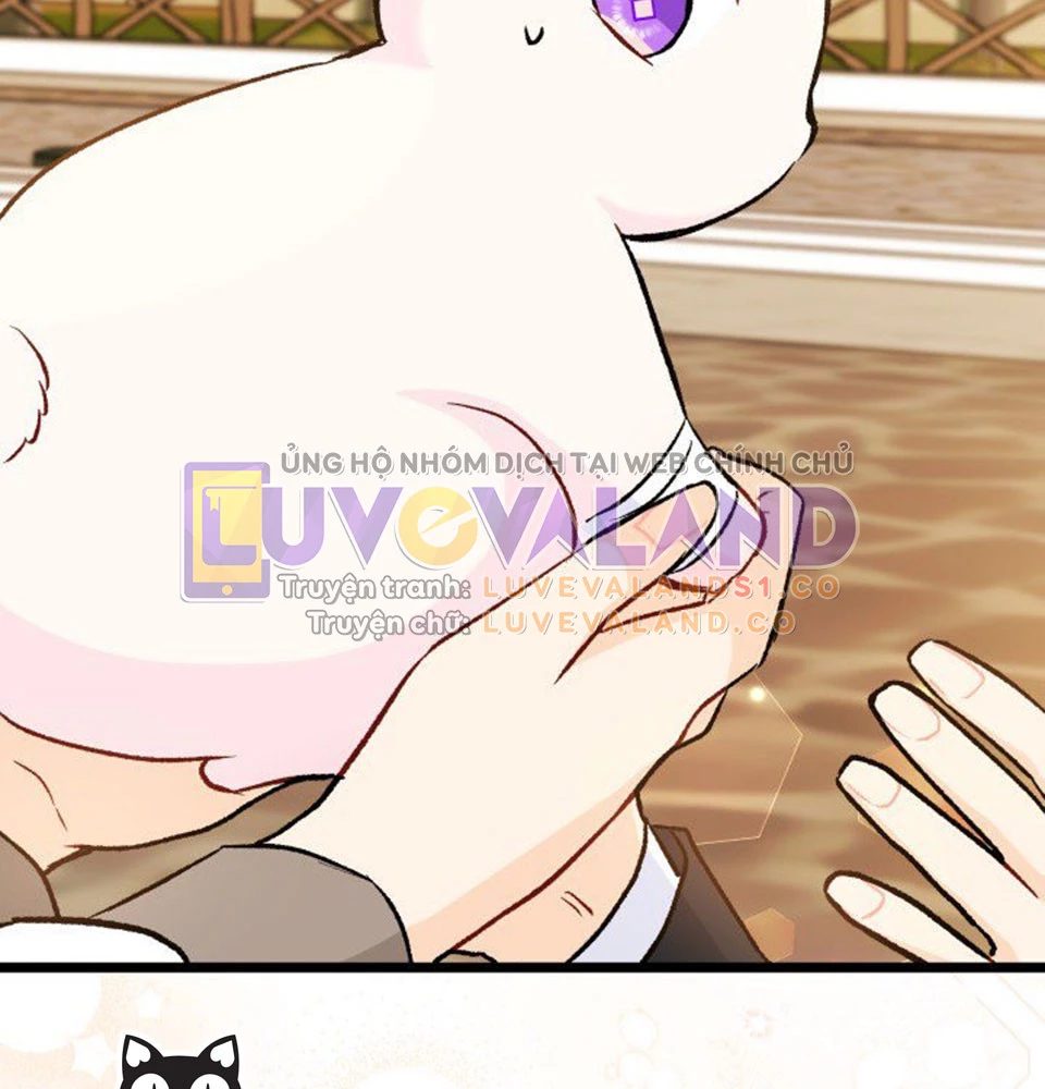 Mối Liên Kết Giữa Báo Đen Và Bé Thỏ Chapter 128 - Trang 2